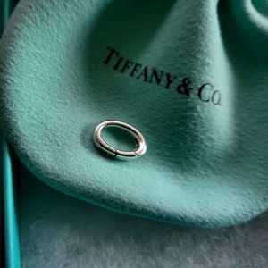 Authentic Tiffany & Co. Clasping Link Sterling Silver